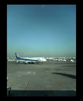 羽田_c0009877_1642846.jpg