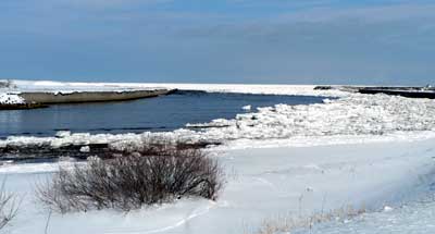 f0083977_22293793.jpg