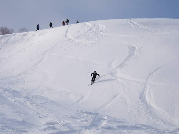 d0079579_1456188.jpg