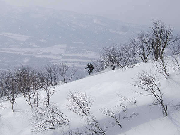 d0079579_18402642.jpg