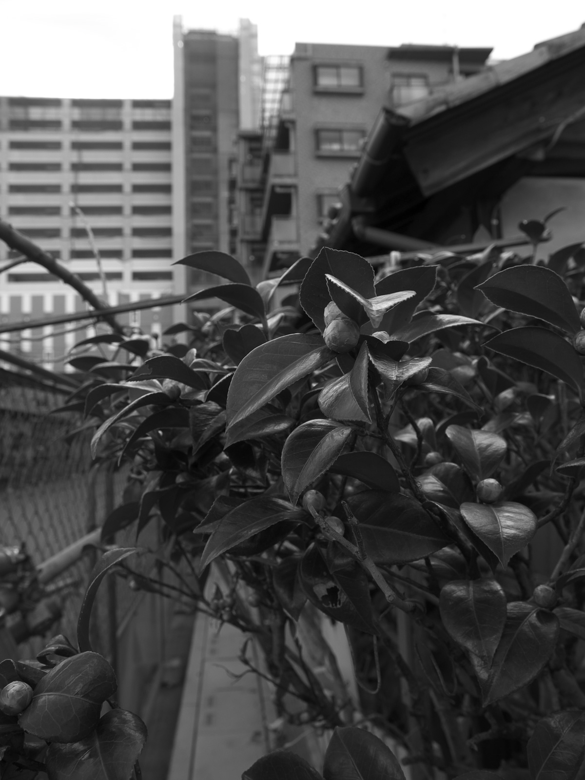 f0121181_0585525.jpg