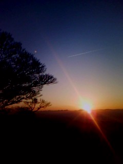 b0074992_11840.jpg