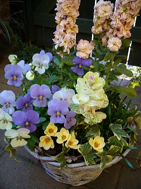 f0065604_20482019.jpg