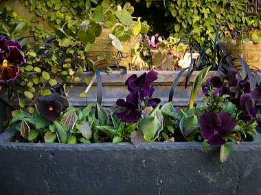 f0065604_20483367.jpg