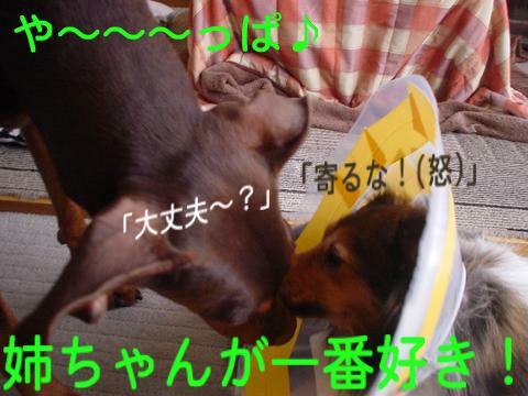 e0100007_1326101.jpg
