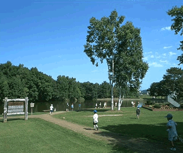 d0087716_0331152.gif