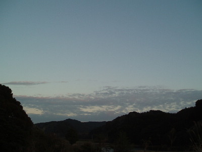 キムチ_a0077071_1715770.jpg