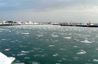 f0083977_2343191.jpg