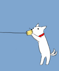 白い犬 Azure Blog 白い犬 Azure Blog