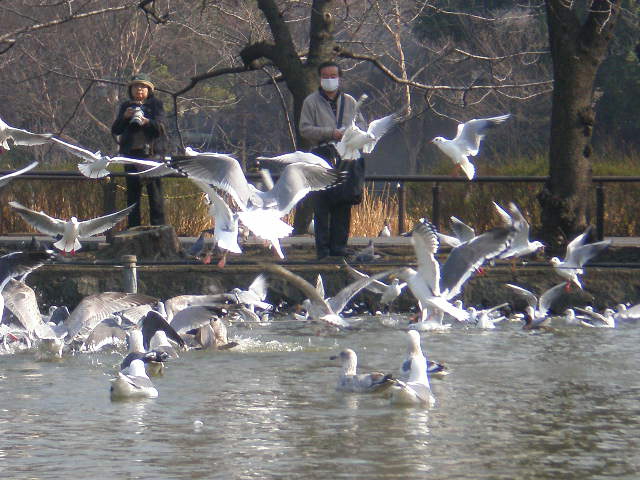 f0007580_22572918.jpg