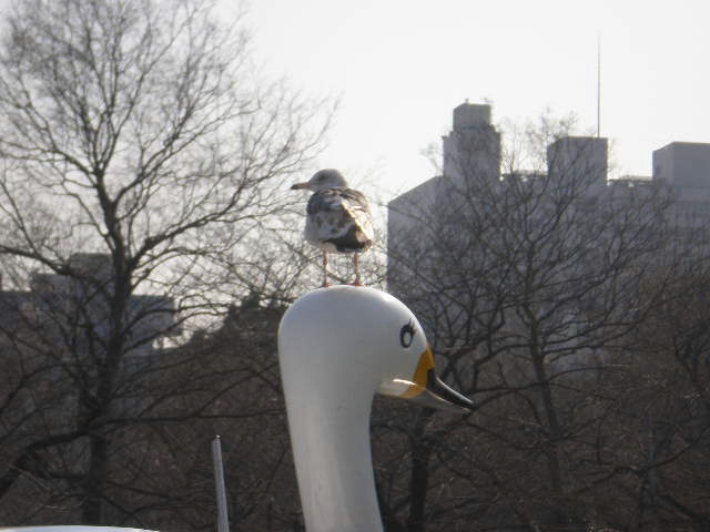 f0007580_23222712.jpg