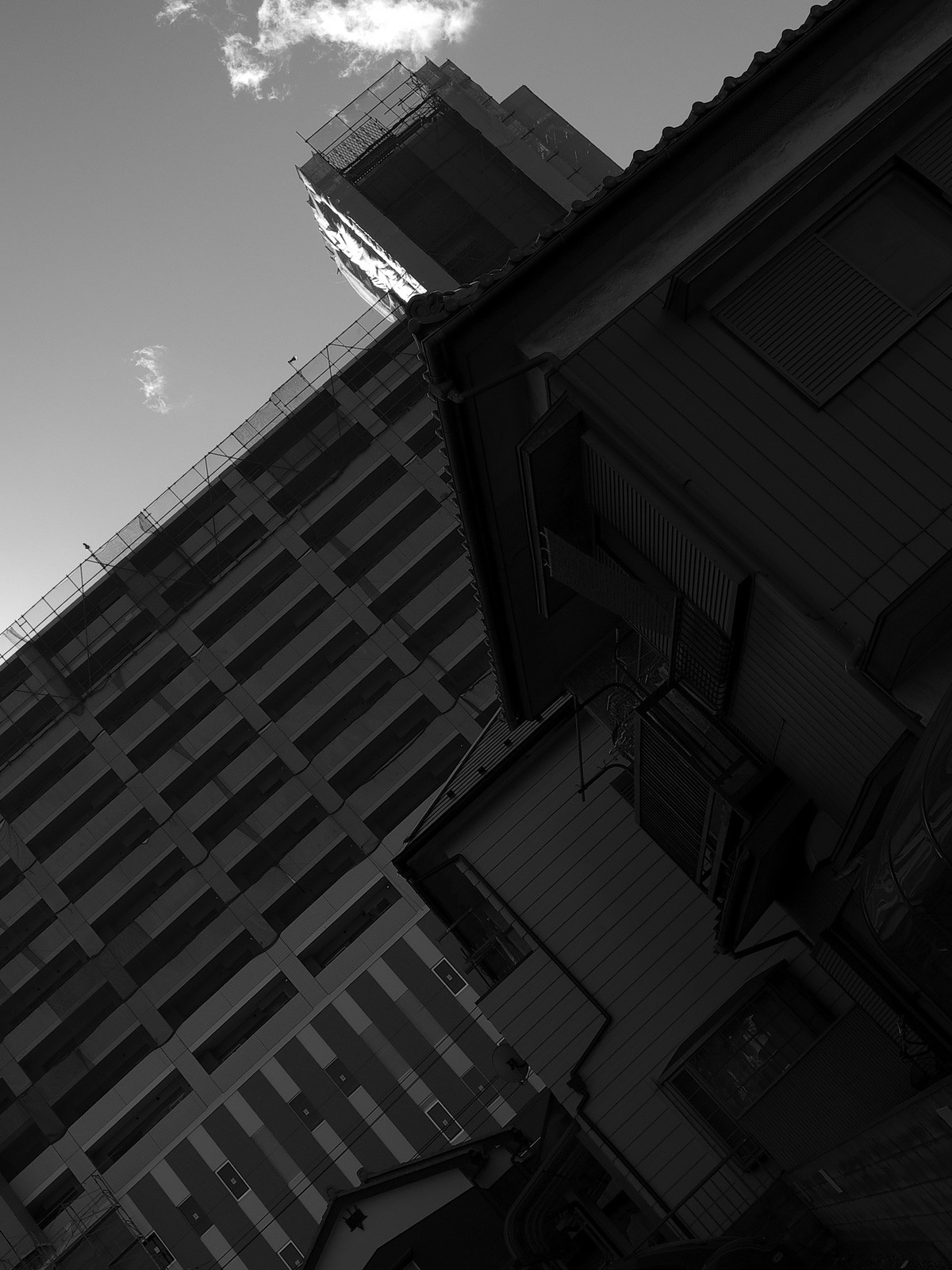 f0121181_2611100.jpg