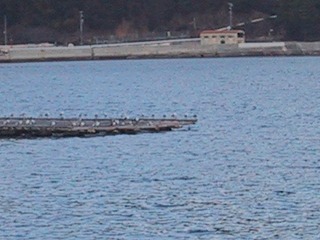 a0034382_16665.jpg