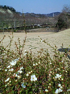 d0065116_1840318.jpg