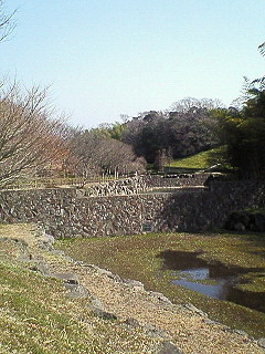 d0065116_18405327.jpg
