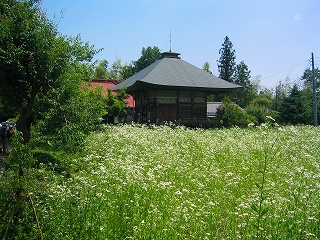e0117318_1953518.jpg