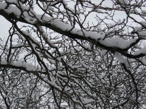 再び...雪。_e0101819_13265858.jpg