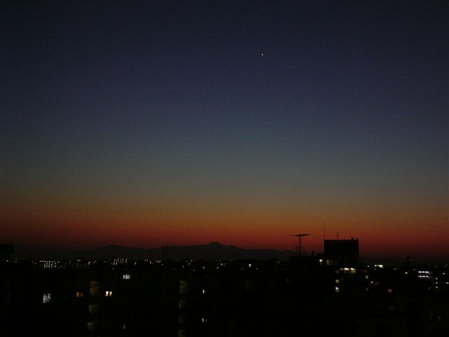 冬の夕方 今日はどこへ行くの