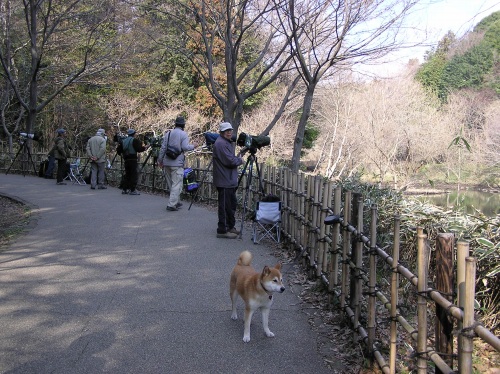 座間谷戸山公園_d0099829_225655.jpg