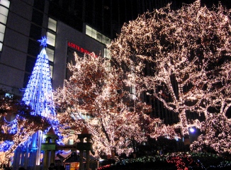 b0025850_20503266.jpg