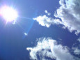 e0099756_2239386.jpg
