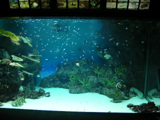 f0043559_23202510.jpg