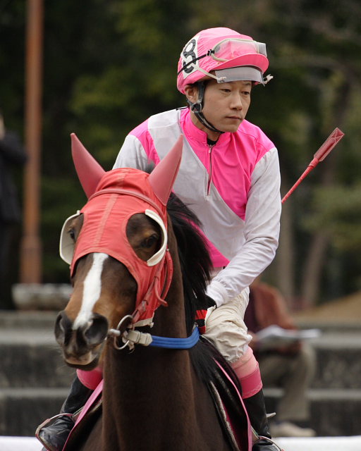 2007年2月25日（日） 高知競馬 5R パドック_a0077663_13474378.jpg