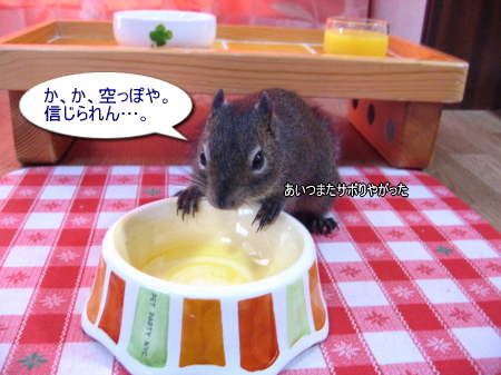 ■さぁ朝ご飯を食べよう（動画付き）_a0015164_19104016.jpg