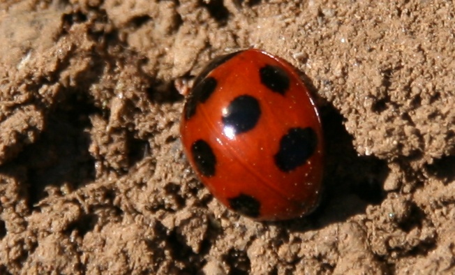 b0070071_17543634.jpg