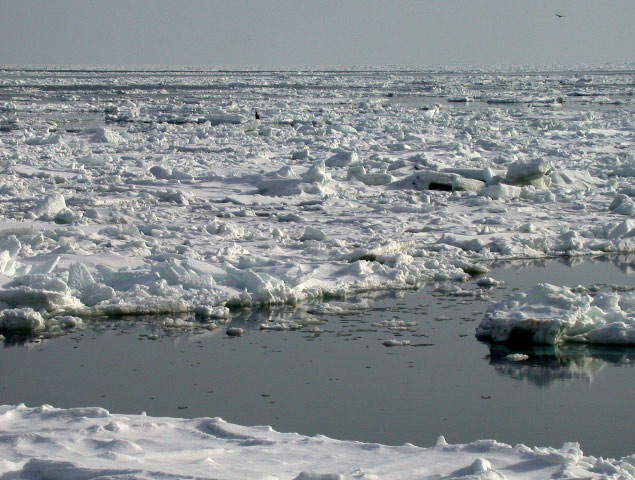 e0100772_21595425.jpg