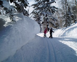【東川】旭岳クロスカントリーコース_f0036874_10364695.jpg