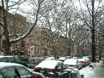 a0027277_1135147.jpg