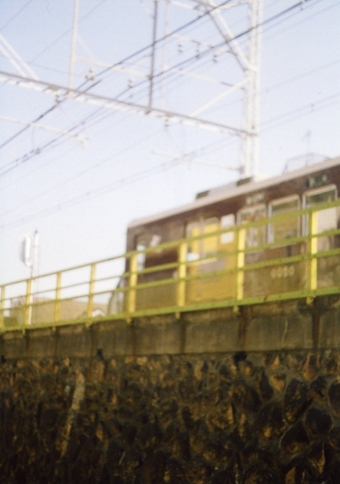c0100988_5251364.jpg