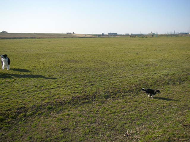 f0114893_95247.jpg