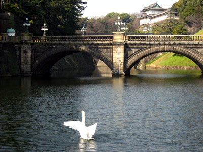 a0047200_19431362.jpg