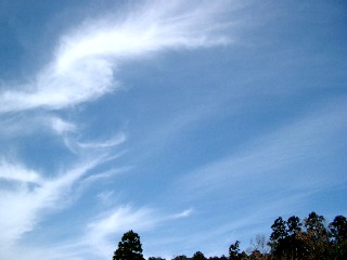 a0040103_1729542.jpg