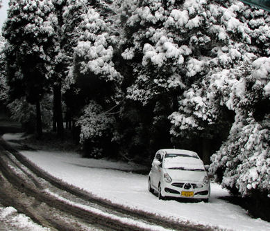 雪国の方には、笑われちゃいそうですが_d0032114_22562388.jpg