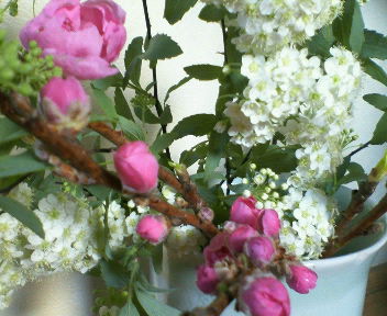 a0073915_204512.jpg