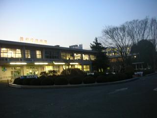 木のある暮らし_c0102228_2084227.jpg