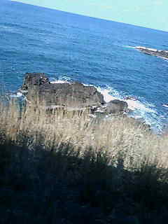 f0009028_10442831.jpg