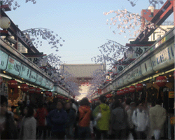 b0100929_2020741.gif