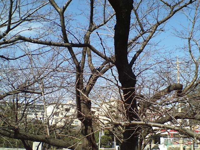 c0113630_1826378.jpg