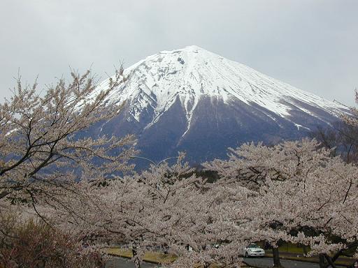 b0089338_34050.jpg