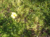 f0023446_16571470.jpg