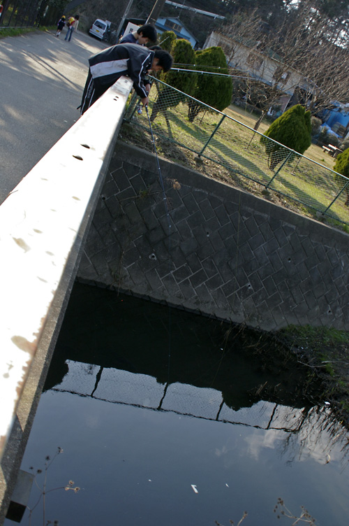 d0100156_20134763.jpg
