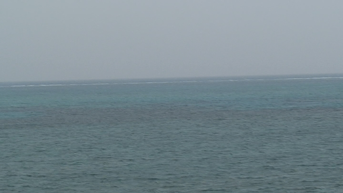 d0083265_21173827.jpg