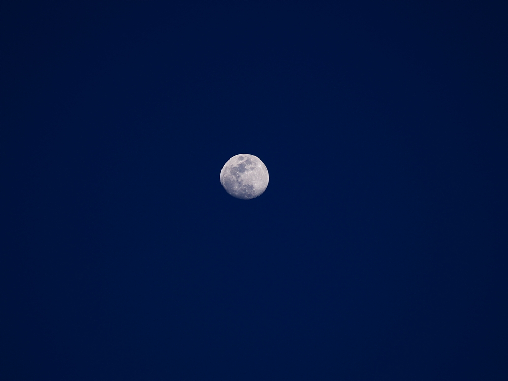 e0015567_20235111.jpg