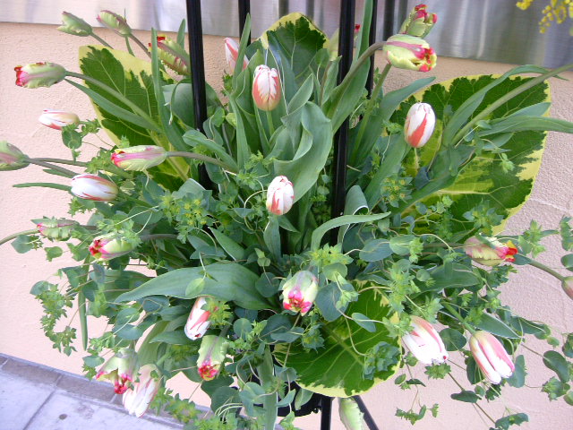 f0049672_1603068.jpg