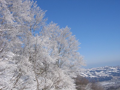 a0038882_9463030.jpg