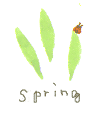 spring　has　come!_a0084095_23204854.gif